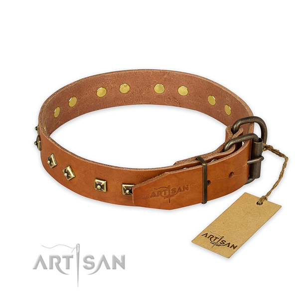 Rust resistant hardware on leather collar for everyday walking your dog