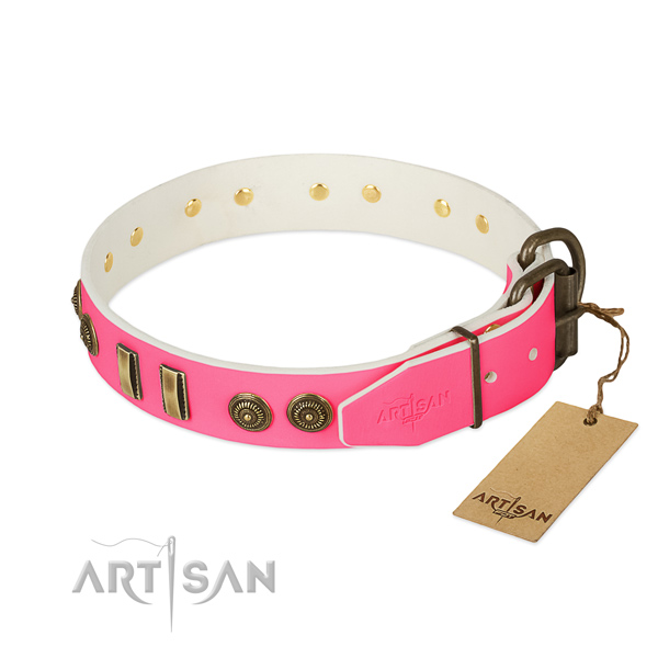 Corrosion resistant decorations on full grain genuine leather dog collar for your canine