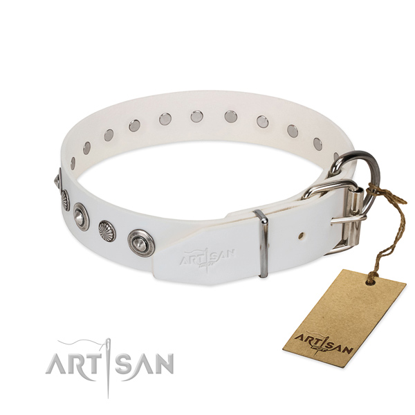 Best quality full grain leather dog collar with fashionable studs