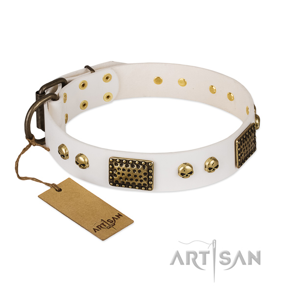Reliable embellishments on stylish walking dog collar