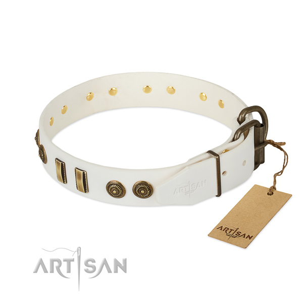 Reliable traditional buckle on genuine leather dog collar for your four-legged friend