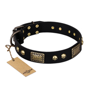 "Biker Style" FDT Artisan Black Leather Siberian Husky Collar with Old Bronze Look Plates and Skulls "Biker Style" FDT Artisan Black Leather Siberian Husky Collar with Old Bronze Look Plates and Skulls