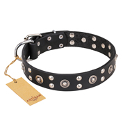 "Refined Essence" FDT Artisan Black Leather Siberian Husky Collar with Silvery Studs