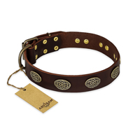 "Chocolate kiss" FDT Artisan Leather Siberian Husky Collar with Old Bronze Look Oval Plates