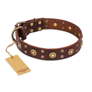 "Caprice of Fashion" FDT Artisan Brown Leather Siberian Husky Collar with Round Decorations