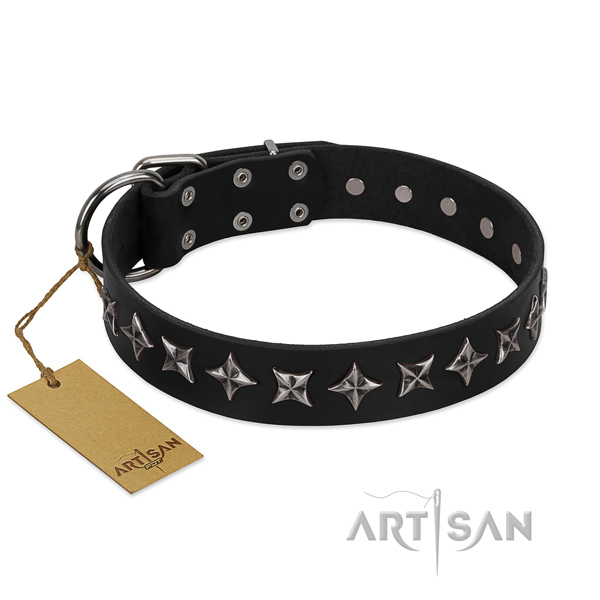 Handy use dog collar of high quality full grain genuine leather with adornments