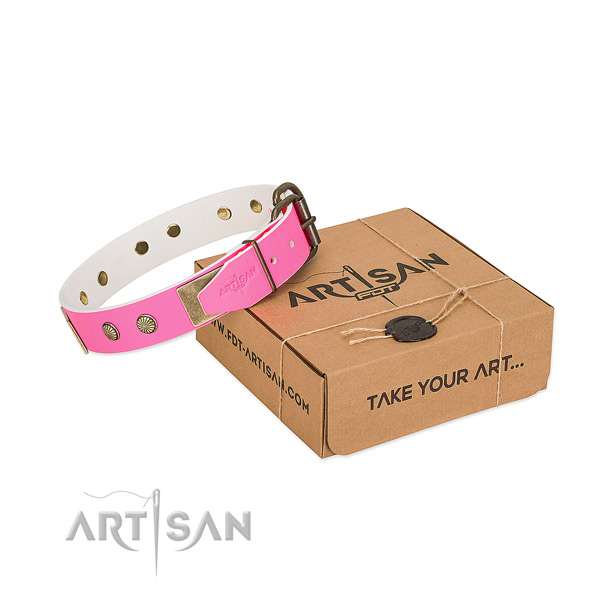 Strong studs on dog collar for everyday walking