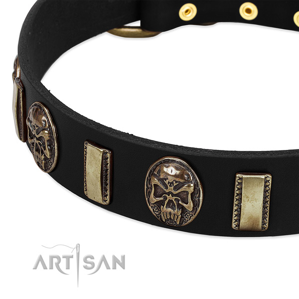 Durable traditional buckle on full grain genuine leather dog collar for your dog