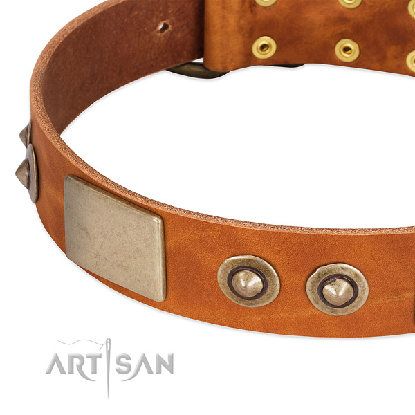 Reliable buckle on full grain natural leather dog collar for your dog