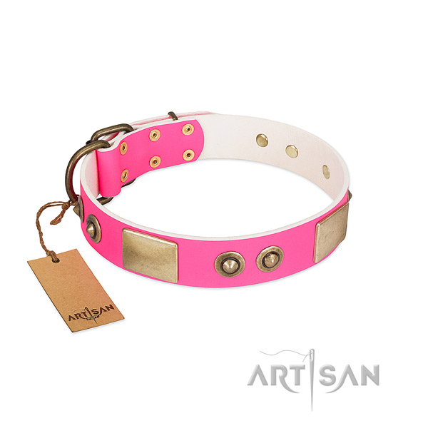 Corrosion proof traditional buckle on leather dog collar for your doggie