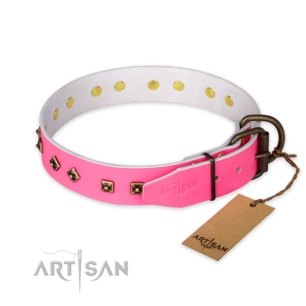 Corrosion proof traditional buckle on natural leather collar for basic training your four-legged friend