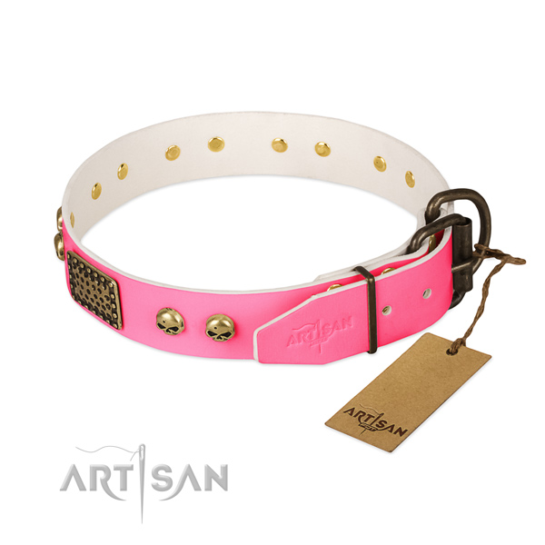 Corrosion resistant traditional buckle on everyday walking dog collar