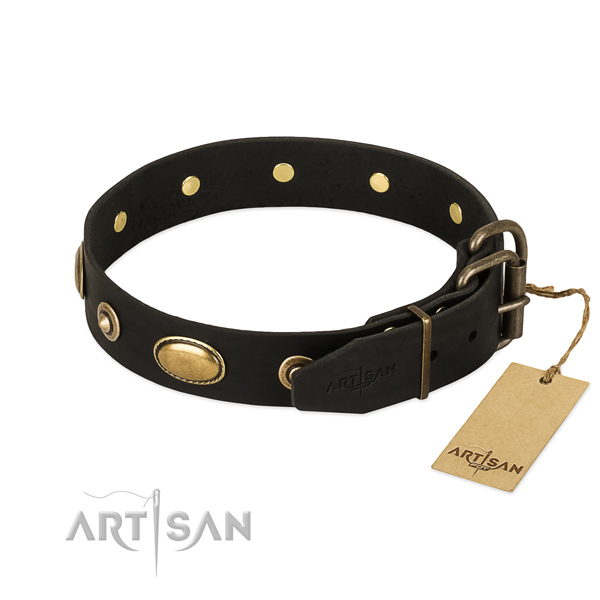 Rust resistant studs on full grain genuine leather dog collar for your four-legged friend