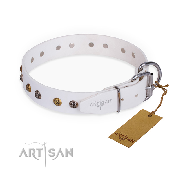 Full grain natural leather dog collar with amazing strong embellishments