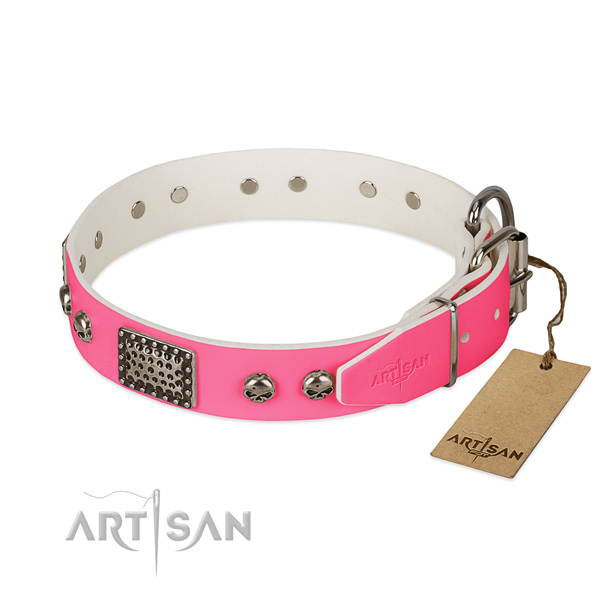 Durable studs on daily use dog collar