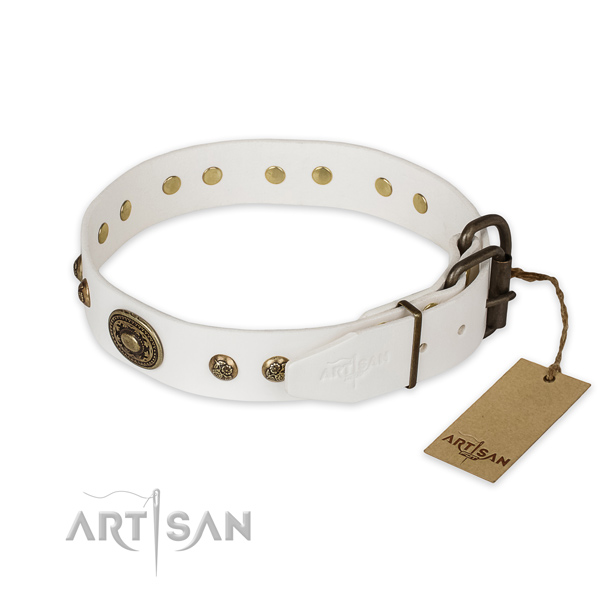 Strong traditional buckle on full grain natural leather collar for stylish walking your canine