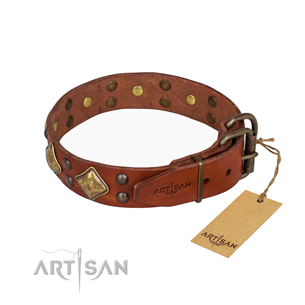 Full grain leather dog collar with fashionable corrosion proof adornments