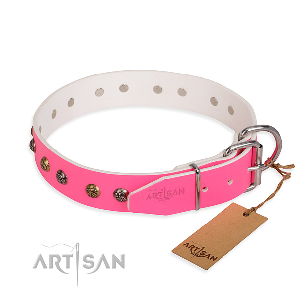 Leather dog collar with incredible rust resistant decorations