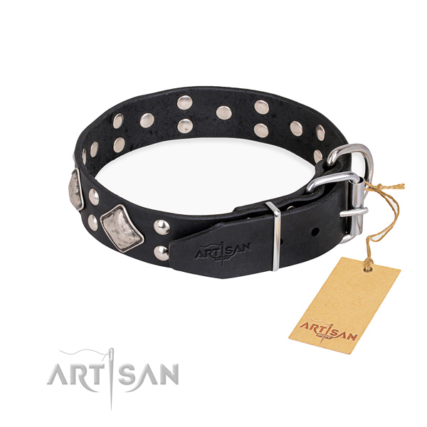 Leather dog collar with incredible rust resistant decorations