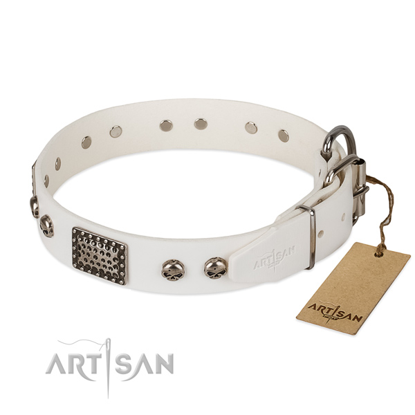 Corrosion proof buckle on everyday use dog collar