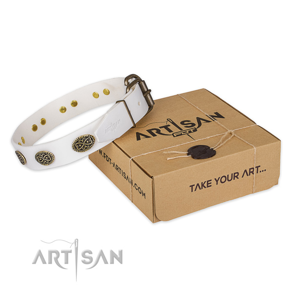 Rust-proof fittings on leather dog collar for easy wearing