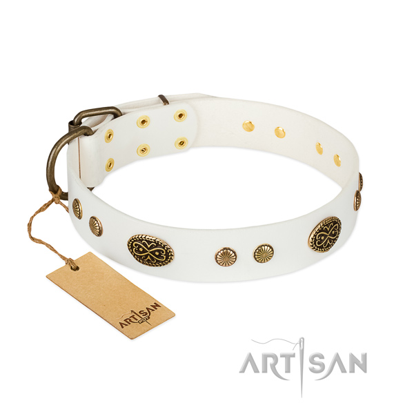 Corrosion proof hardware on leather dog collar for your pet