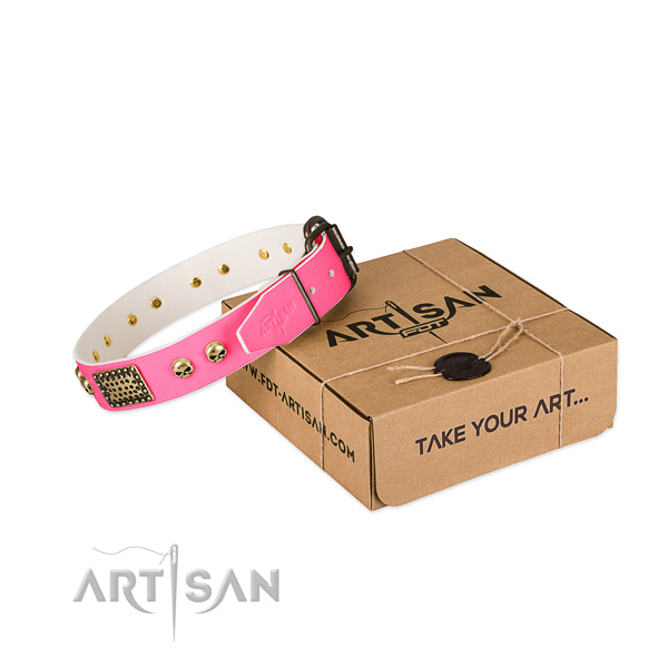 Rust resistant hardware on dog collar for easy wearing