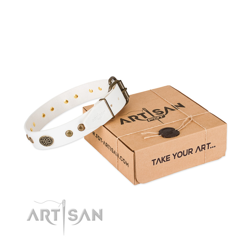 Rust resistant fittings on full grain natural leather dog collar for your canine