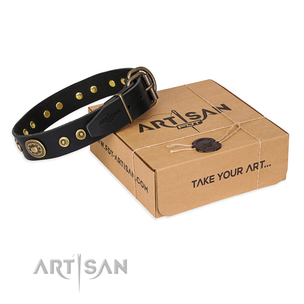 Full grain natural leather dog collar made of gentle to touch material with corrosion resistant hardware