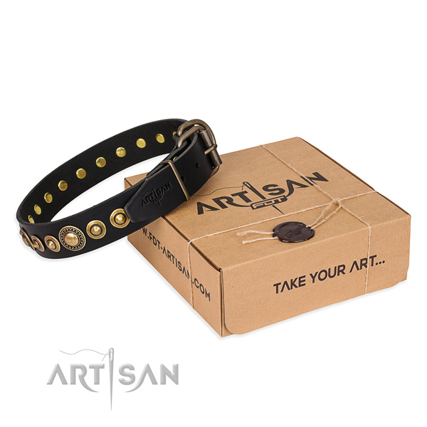 Strong full grain leather dog collar handcrafted for daily walking