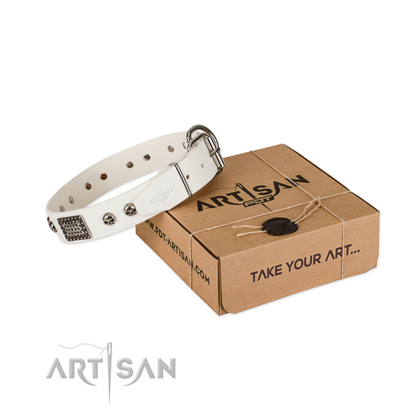 Reliable buckle on dog collar for comfy wearing