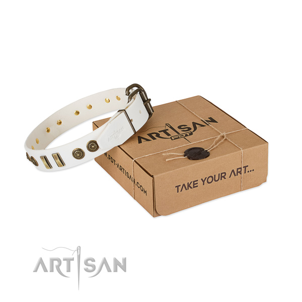 Reliable adornments on full grain natural leather dog collar for your pet