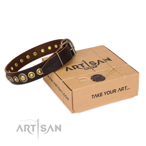 Gentle to touch full grain leather dog collar crafted for walking