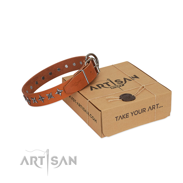 Everyday use dog collar of top notch full grain natural leather with decorations