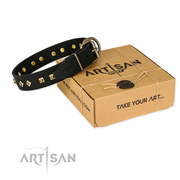 Rust-proof fittings on leather dog collar for easy wearing