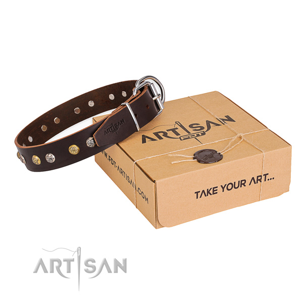 Quality natural genuine leather dog collar made for everyday use