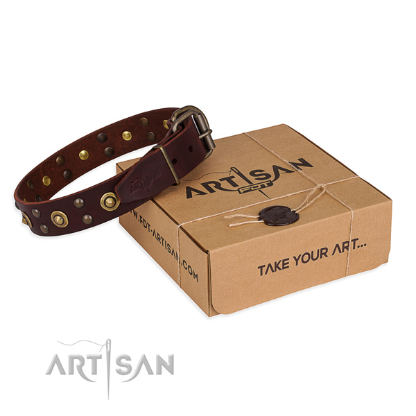 Durable hardware on full grain leather collar for your lovely canine