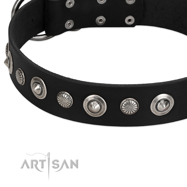 Unique studded dog collar of quality full grain leather