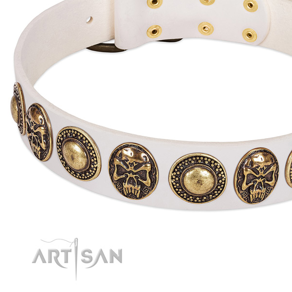 Corrosion resistant decorations on leather dog collar for your canine