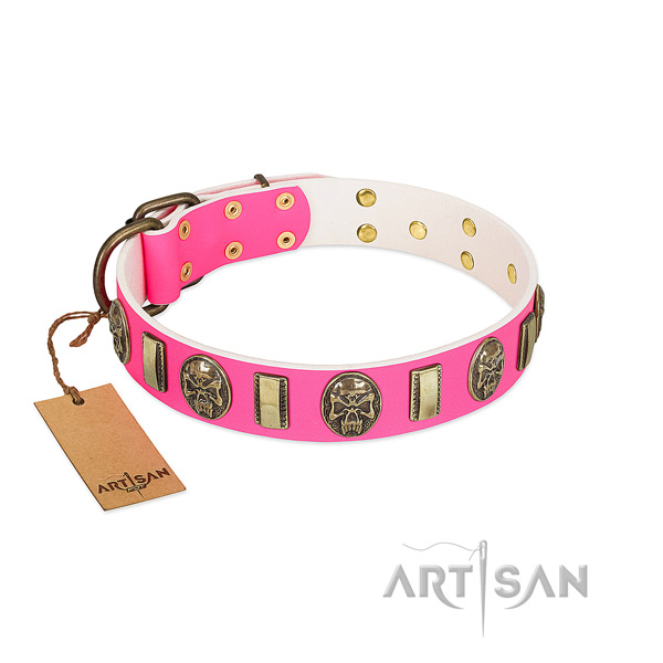 Corrosion resistant studs on natural genuine leather dog collar for your dog