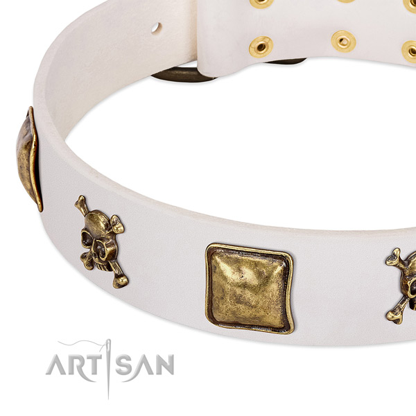 Exquisite leather dog collar with corrosion proof studs