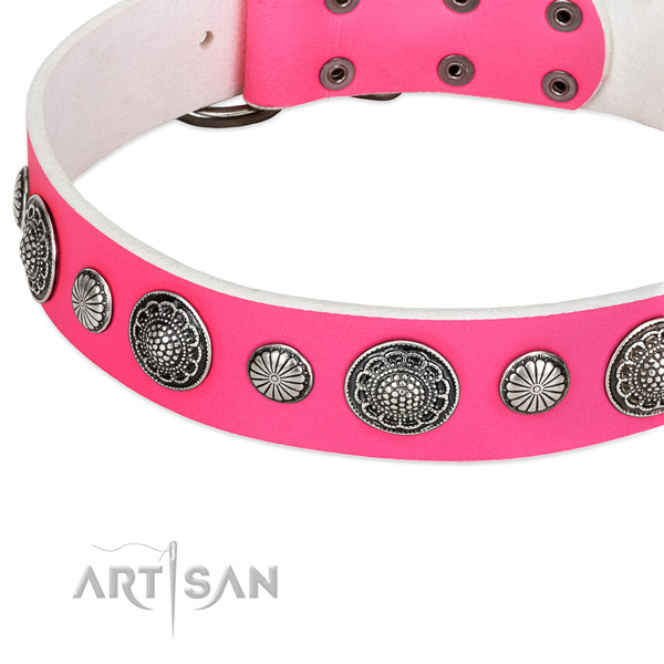 Full grain genuine leather collar with rust-proof D-ring for your lovely pet