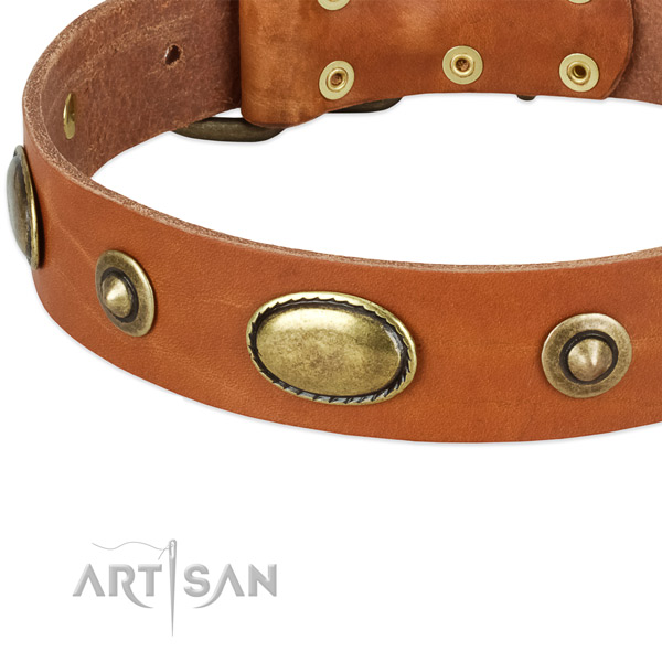 Rust resistant hardware on full grain natural leather dog collar for your dog