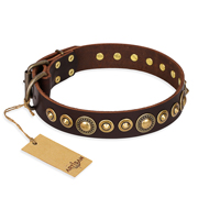 "Ancient Warrior" FDT Artisan Fancy Leather Siberian Husky Collar with Old-Bronze Plated Decorations "Ancient Warrior" FDT Artisan Fancy Leather Siberian Husky Collar with Old-Bronze Plated Decorations