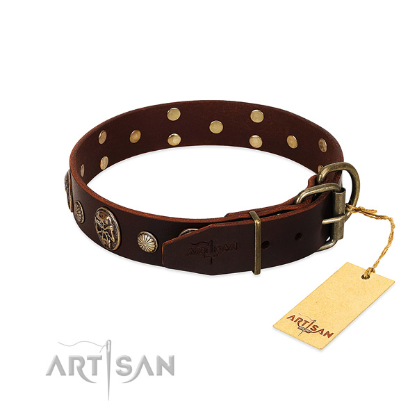 Rust-proof D-ring on daily use dog collar