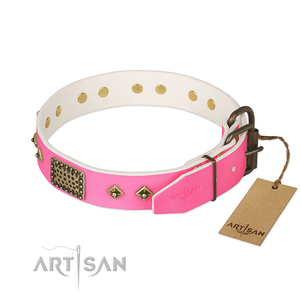 Corrosion proof D-ring on daily walking dog collar