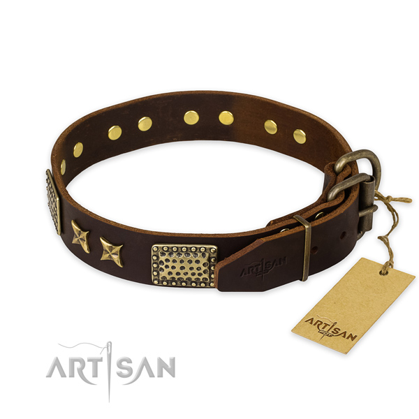 Strong D-ring on leather collar for your beautiful four-legged friend