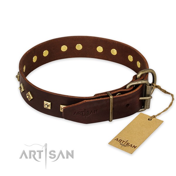 Strong buckle on leather collar for everyday walking your dog