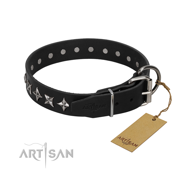 Walking decorated dog collar of reliable full grain genuine leather