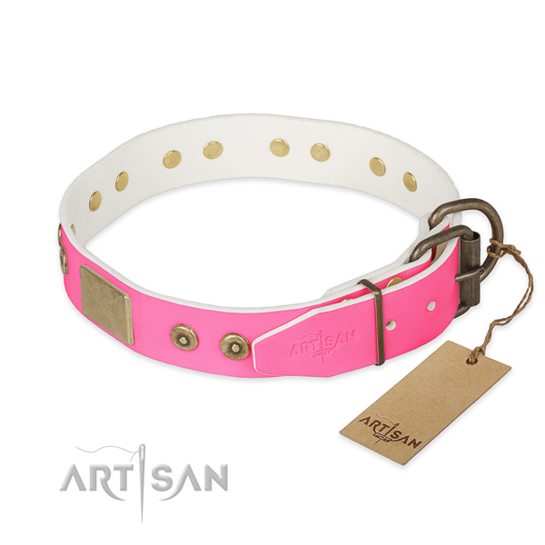 Corrosion resistant embellishments on comfy wearing dog collar